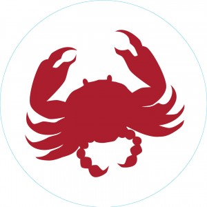 Bogg Bit - Crab | LYT-798652