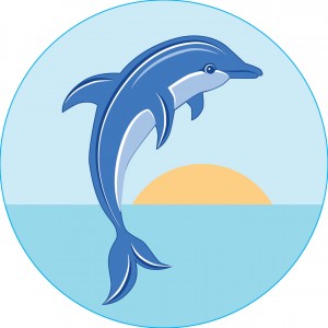 Bogg Bit - Dolphin | NPW-650249