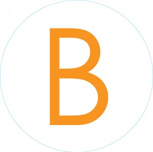 Bogg Bit - Initial "B" | OZK-190836