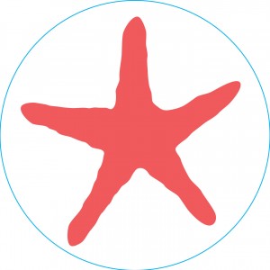 Bogg Bit - Starfish | BUF-210487